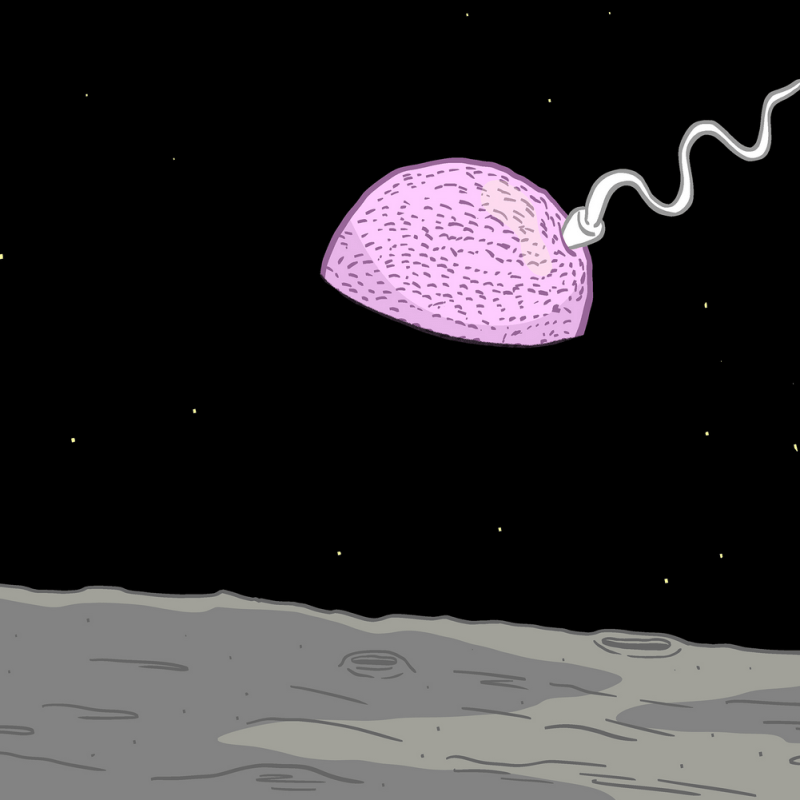 Ovary cells waste away. Sperm counts&nbsp;drop.