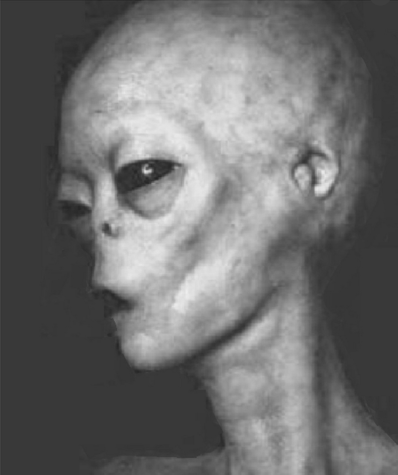 Molecular Biologist Examined Alien Grey&nbsp;Bodies